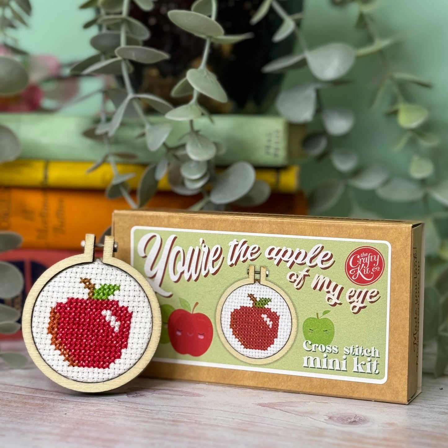 'You're The Apple Of My Eye' Mini Matchbox Cross Stitch Kit (with keyring)