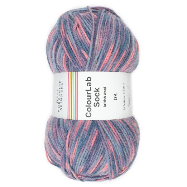 WYS ColourLab Sock DK