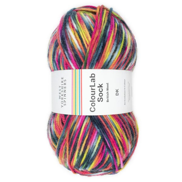WYS ColourLab Sock DK