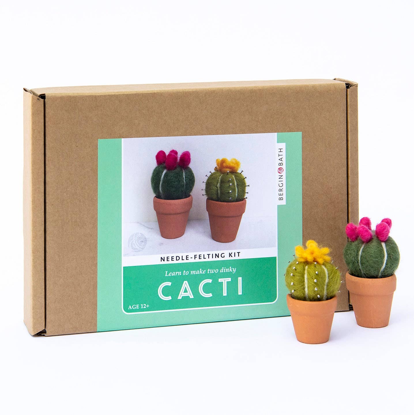 Needle Felting Kit, Cacti