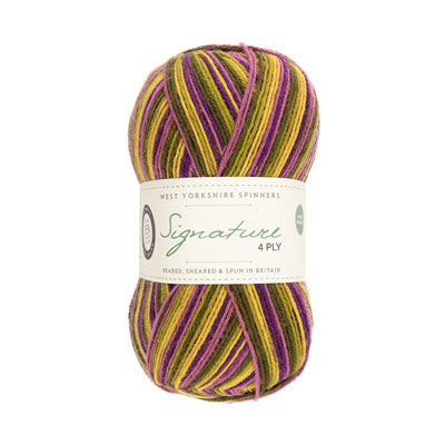 WYS Signature 4ply
