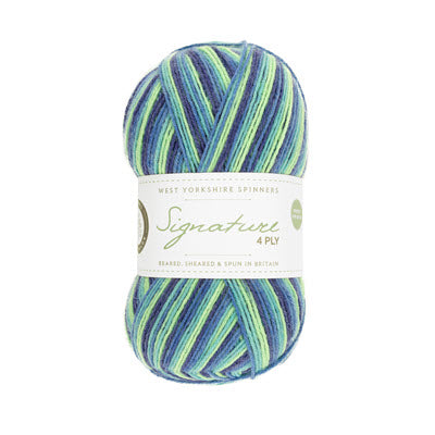 WYS Signature 4ply