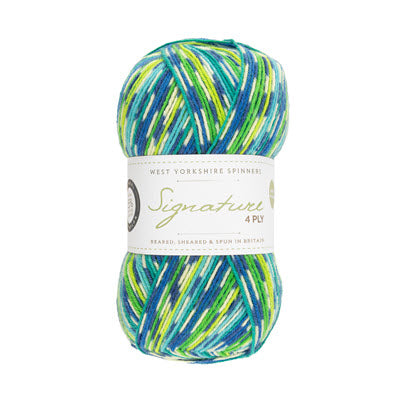 WYS Signature 4ply