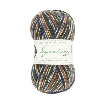 WYS Signature 4ply