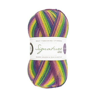 WYS Signature 4ply