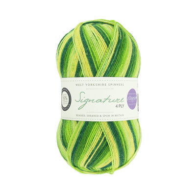 WYS Signature 4ply