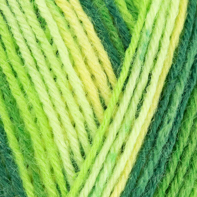 WYS Signature 4ply