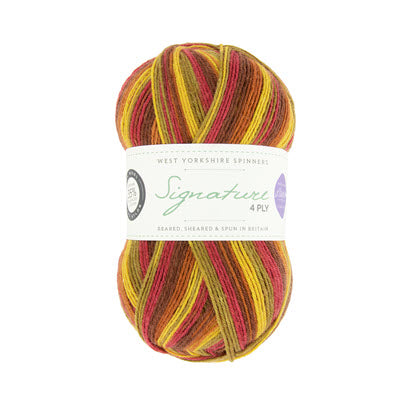 WYS Signature 4ply