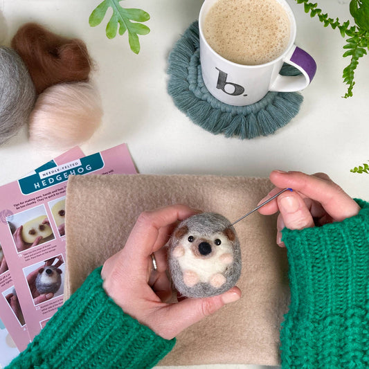 Needle Felting Kit, Hedgehog