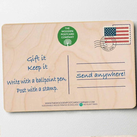 Herring Gull - Eco-friendly card