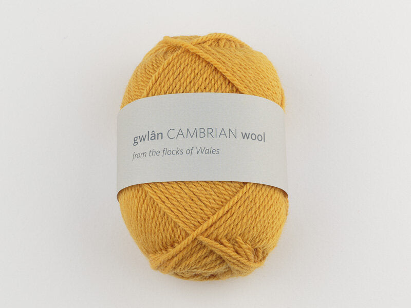 Cambrian DK Welsh Wool - Mineral image
