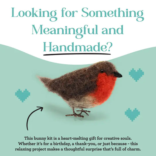 Red Robin Needle Felting Kit