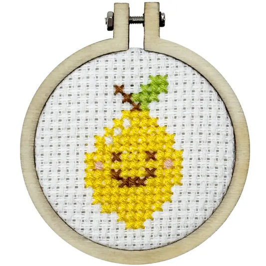 You're My Zest Friend Cross Stitch Mini Kit (with keyring)