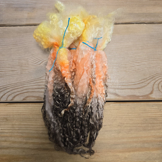 Seashell Locks image 0