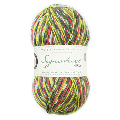 WYS Signature 4ply