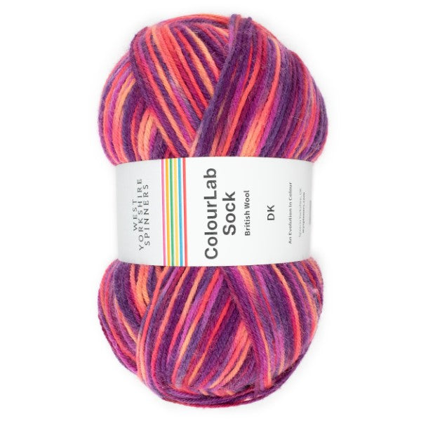 WYS ColourLab Sock DK