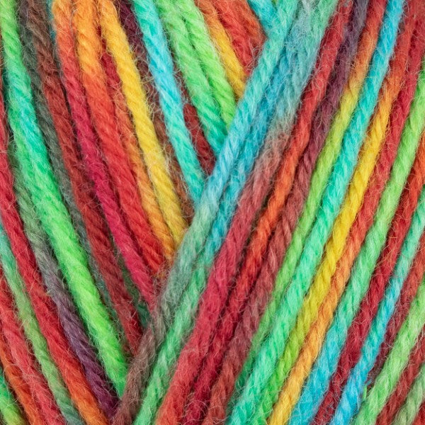 WYS ColourLab Sock DK
