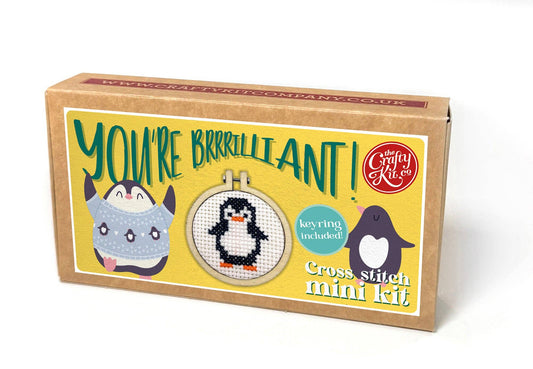 'You're Brrrilliant!' Mini Matchbox Cross Stitch Kit (with keyring)