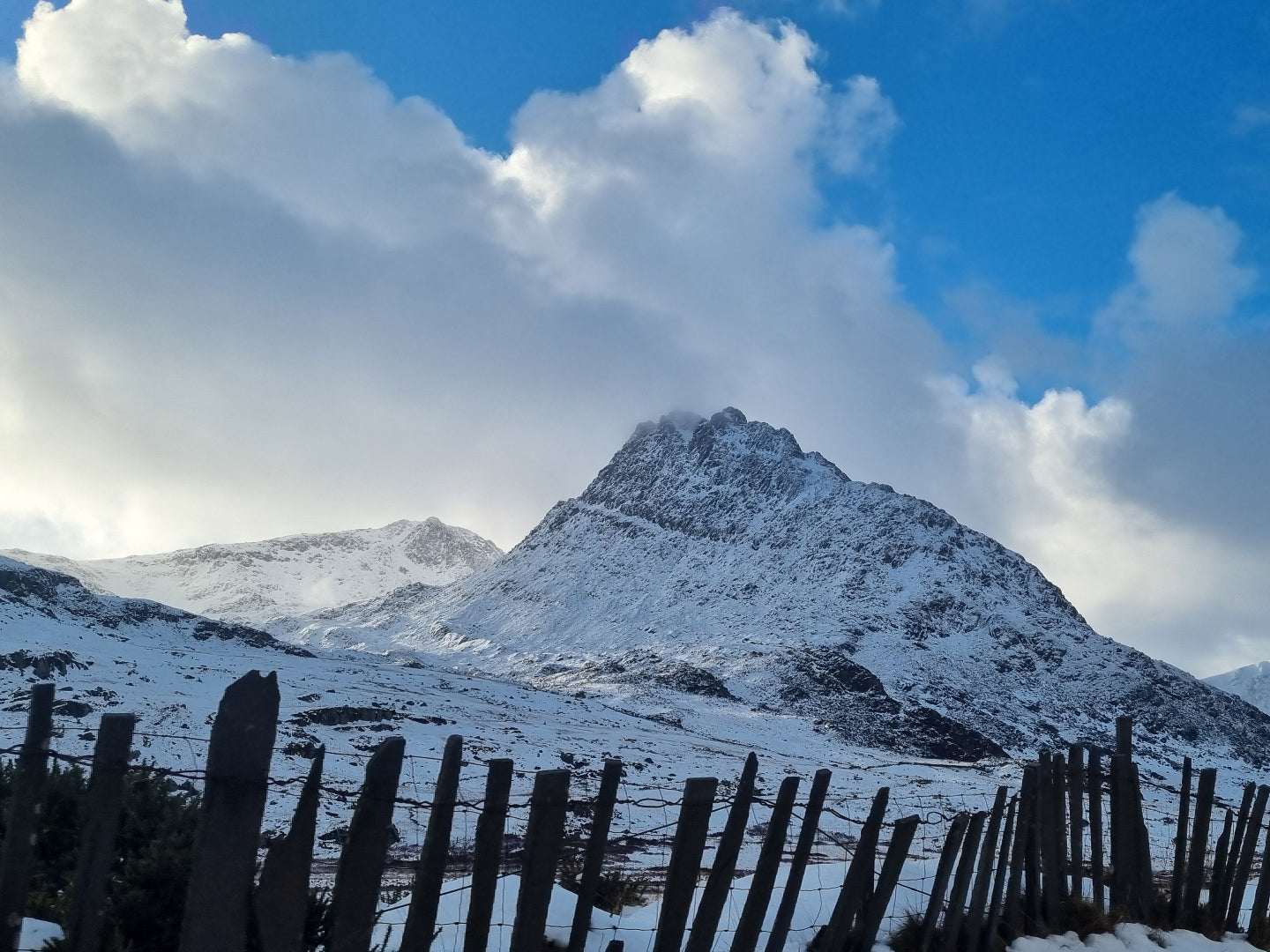Needlefelting Winter Landscape Masterclass with Jackie Smith