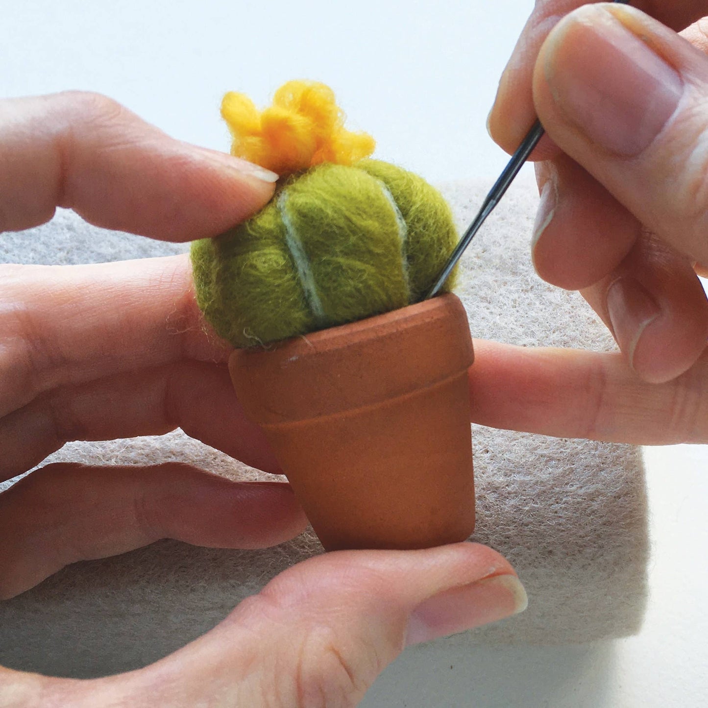 Needle Felting Kit, Cacti