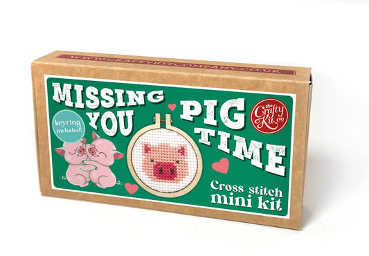 Missing You Pig Time Cross Stitch Mini Kit (with keyring)