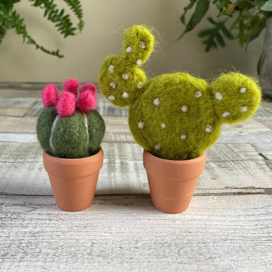 Needle Felting Kit, Cacti