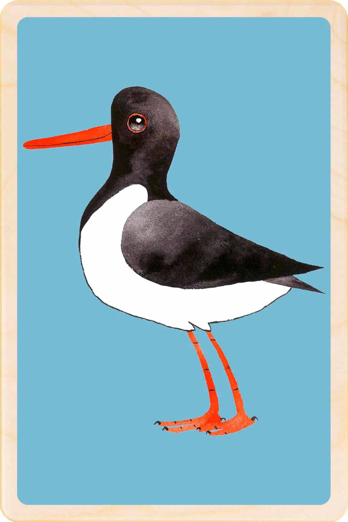 Oystercatcher (Matt Sewell's Birds) - Eco-friendly magnet