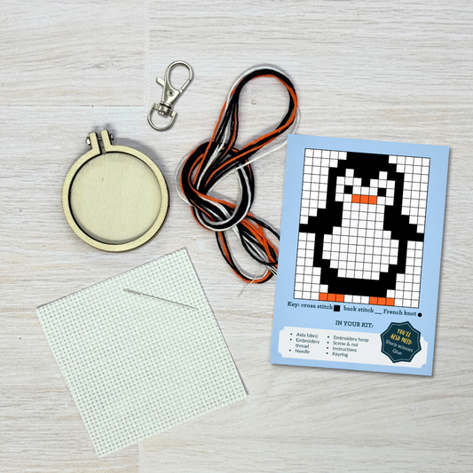 'You're Brrrilliant!' Mini Matchbox Cross Stitch Kit (with keyring)