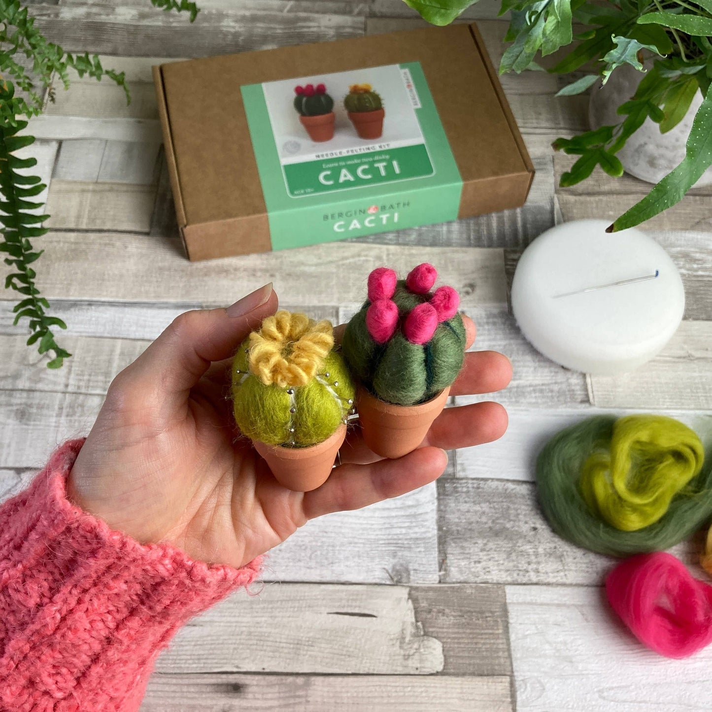 Needle Felting Kit, Cacti