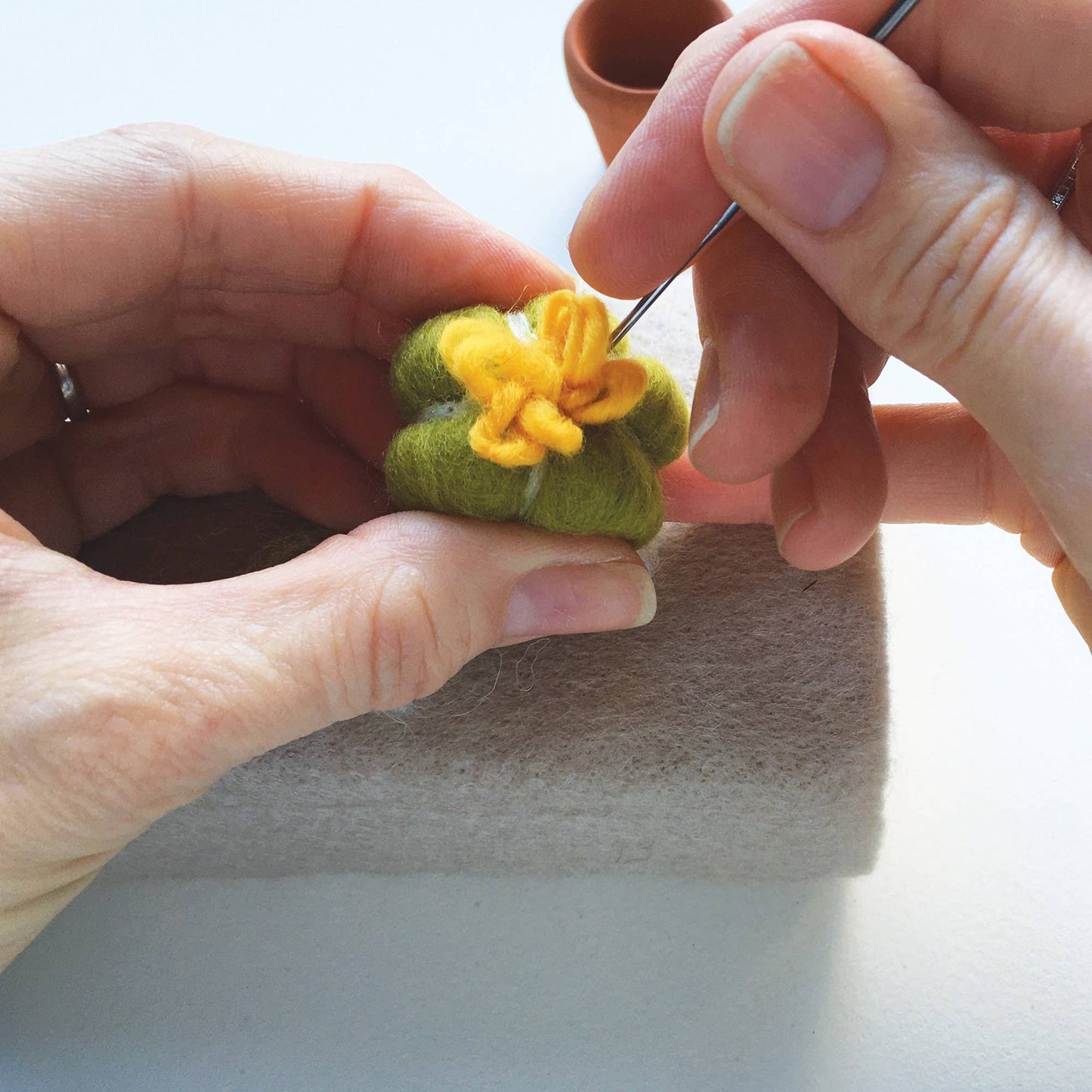 Needle Felting Kit, Cacti