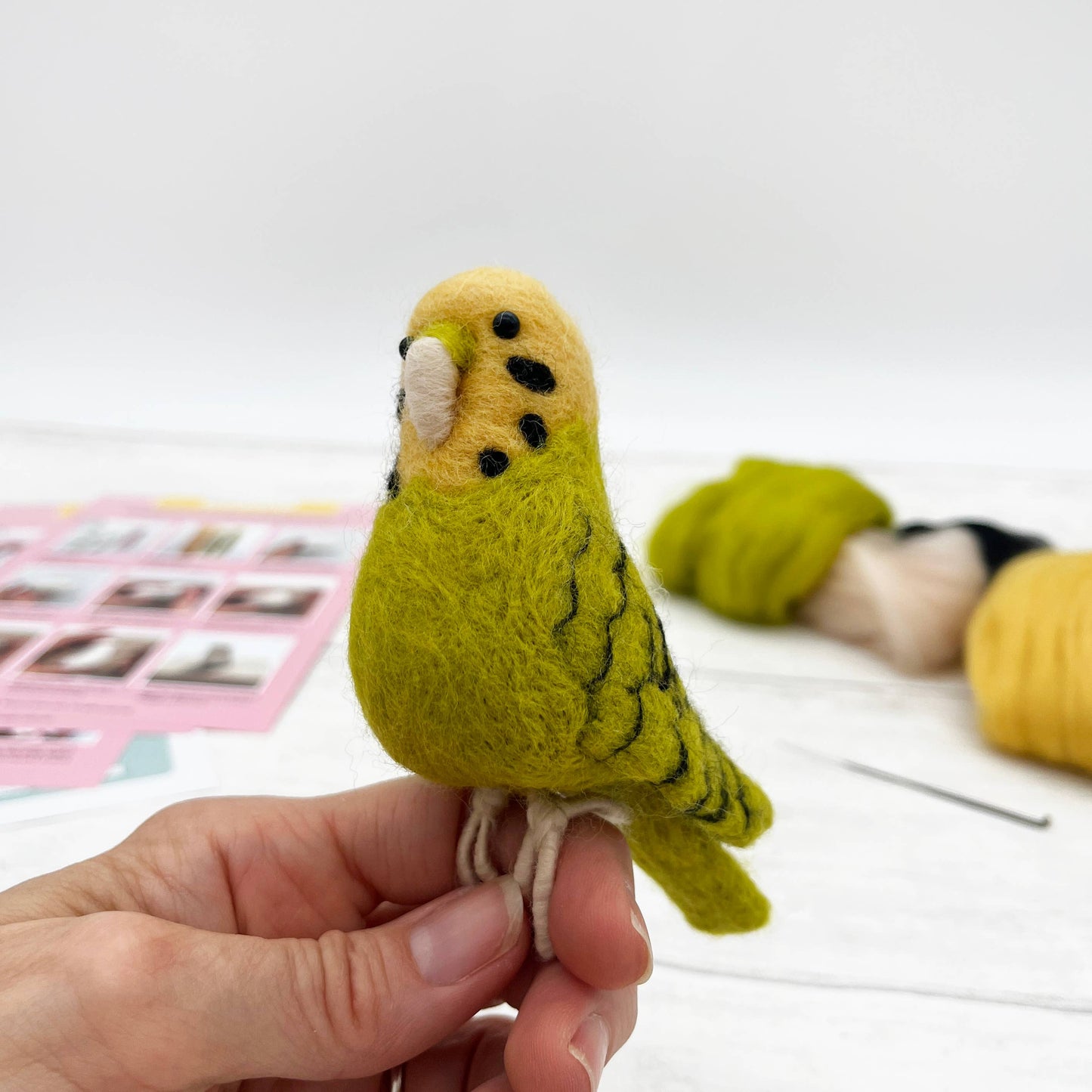 Needle Felting Kit, Green Budgie