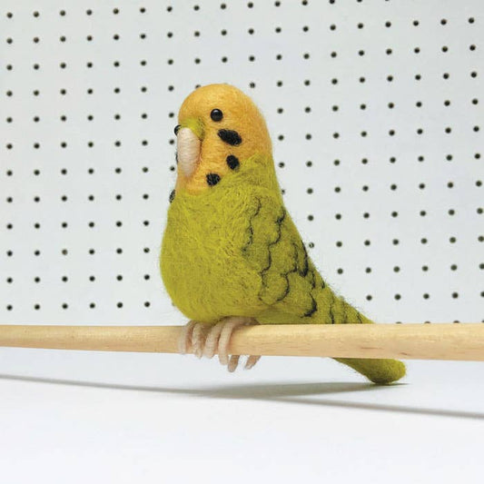 Needle Felting Kit, Green Budgie