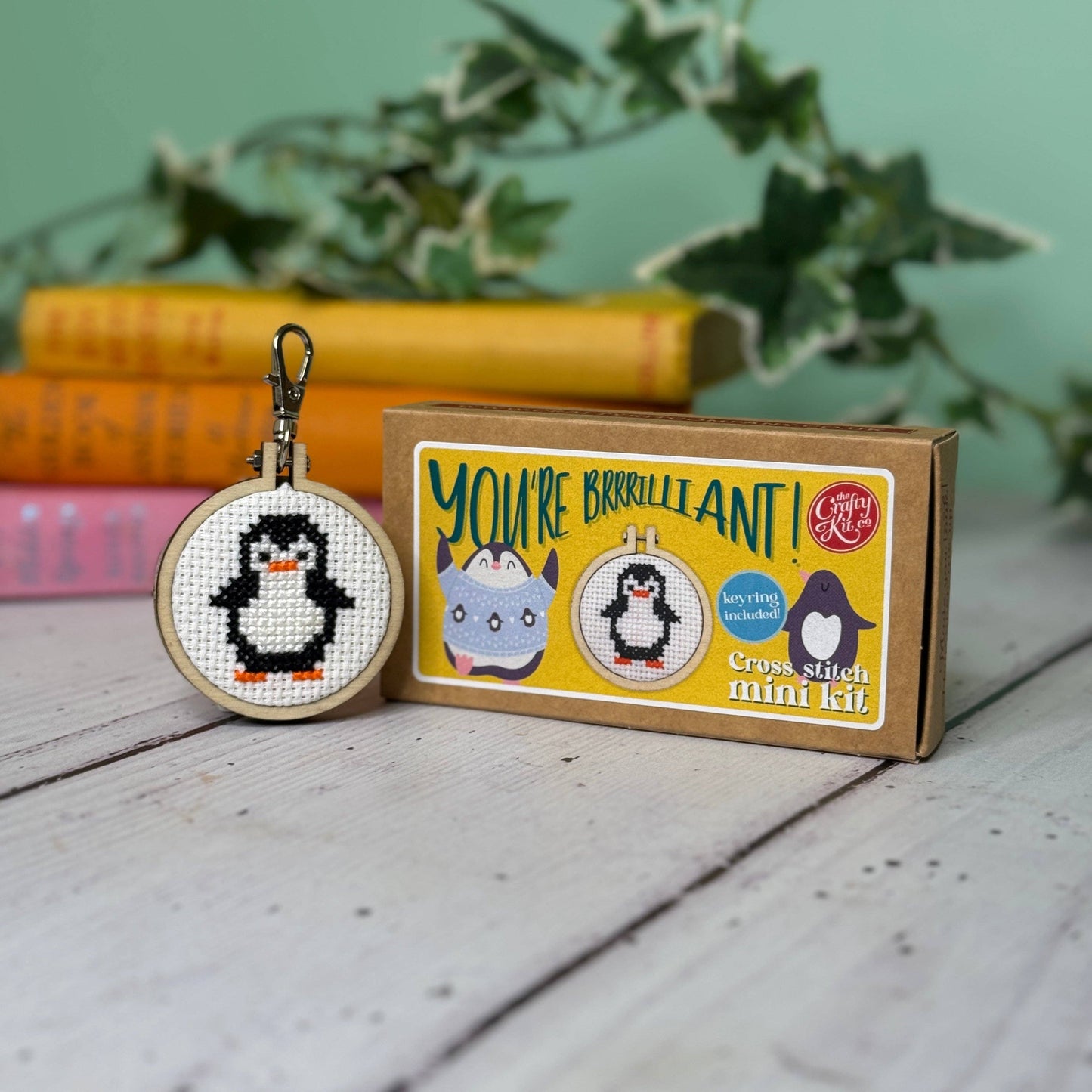 'You're Brrrilliant!' Mini Matchbox Cross Stitch Kit