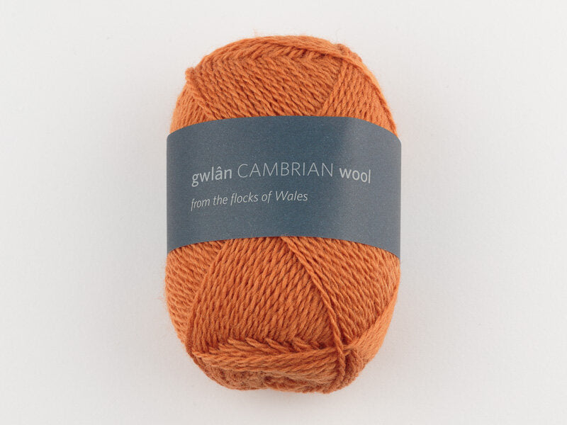 Cambrian 4ply Welsh Wool - Ironstone image