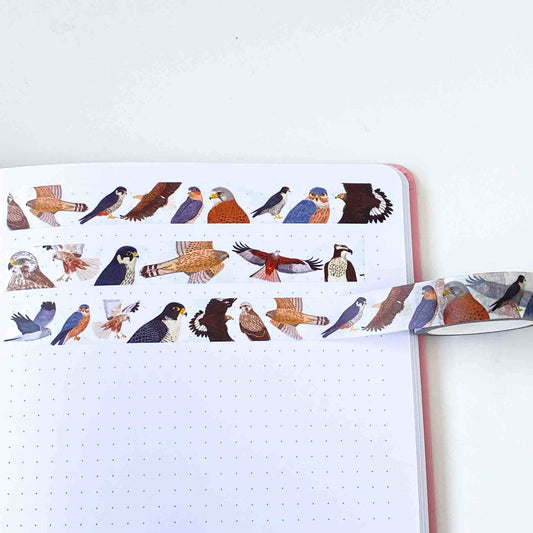 British Birds of Prey Washi Tape