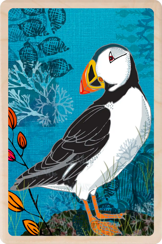 Puffin - Eco-friendly card