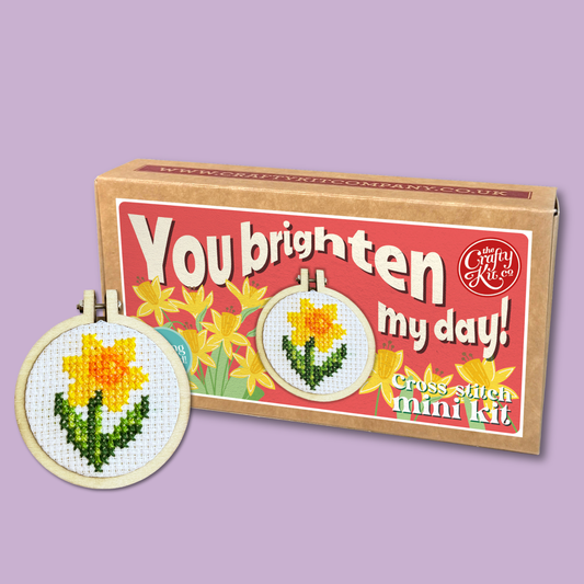 You Brighten My Day! Mini Matchbox Cross Stitch Kit (with keyring)