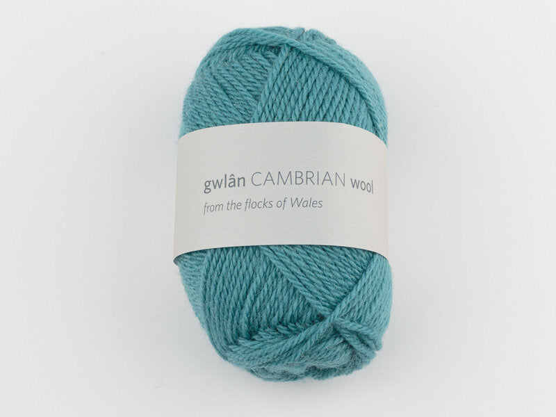 Cambrian DK Welsh Wool - Hafan image