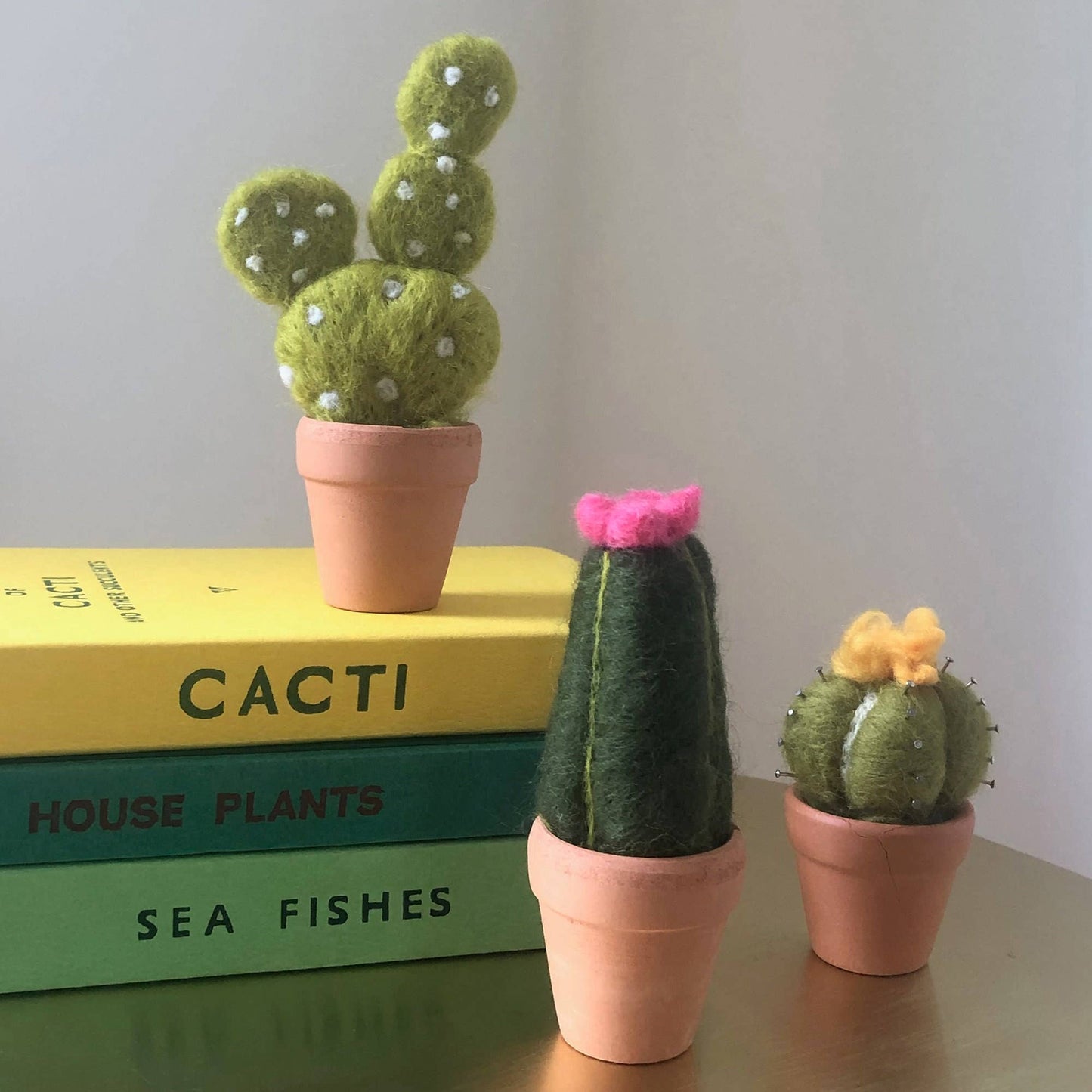 Needle Felting Kit, Cacti