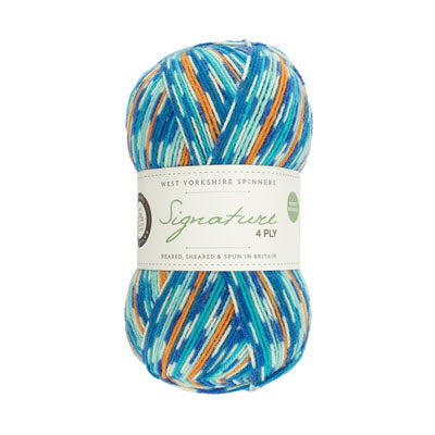 WYS Signature 4ply