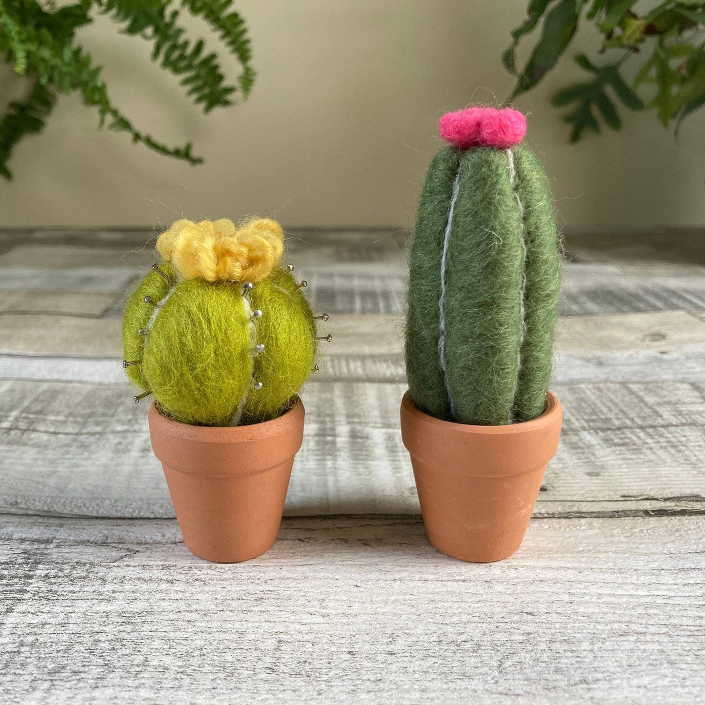 Needle Felting Kit, Cacti