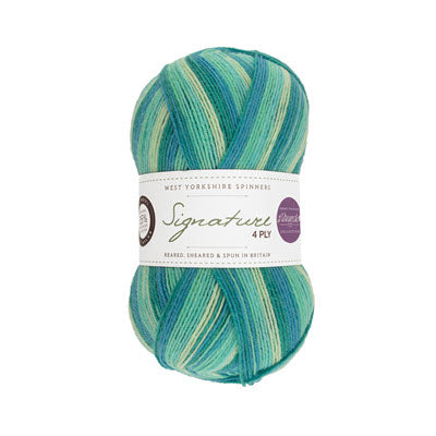 WYS Signature 4ply