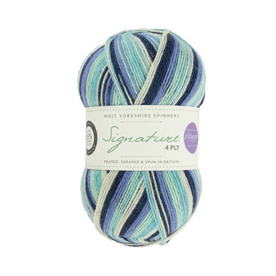 WYS Signature 4ply