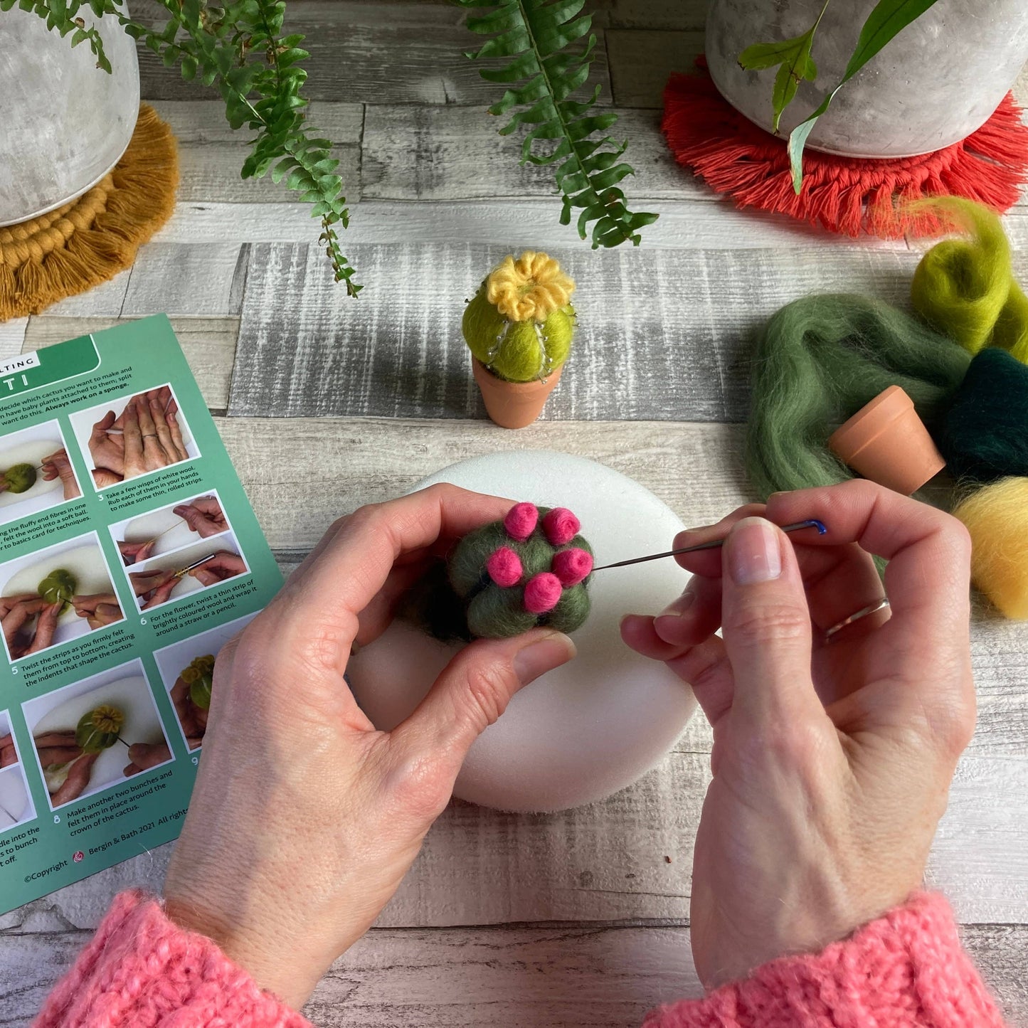 Needle Felting Kit, Cacti