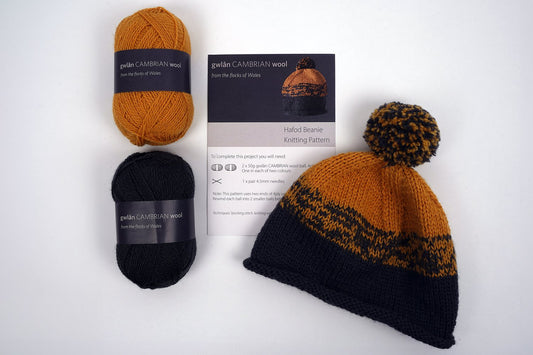 Hafod Beanie image 0