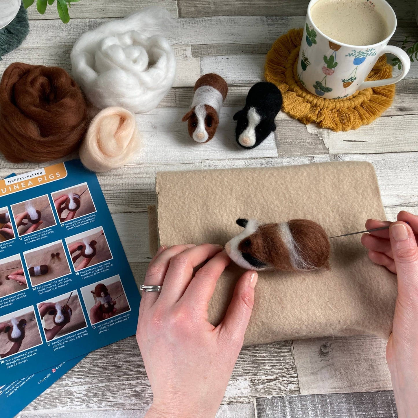 Needle Felting Kit, Guinea Pigs