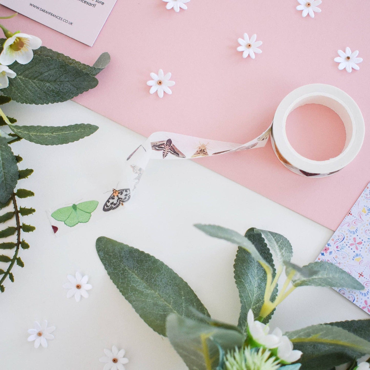 British Moths Washi Tape