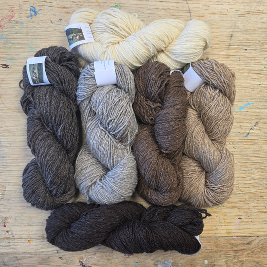 Cwmchwefru Wool - DK
