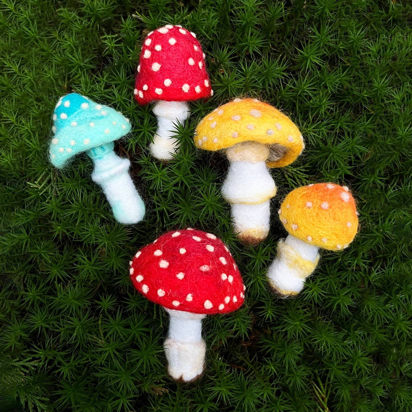 Needle Felting Kit, Toadstools
