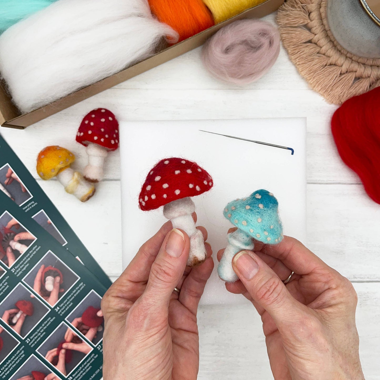 Needle Felting Kit, Toadstools